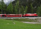 RhB Glacier Express, Allegra Triebwagen und andere (27)